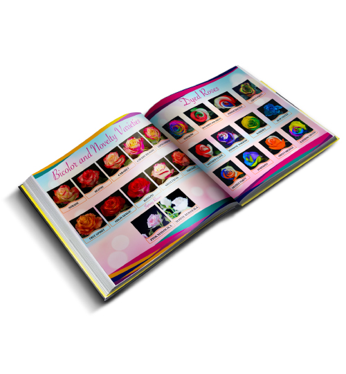 folletos diseños