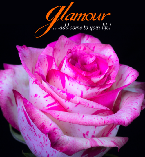 glamour diseños