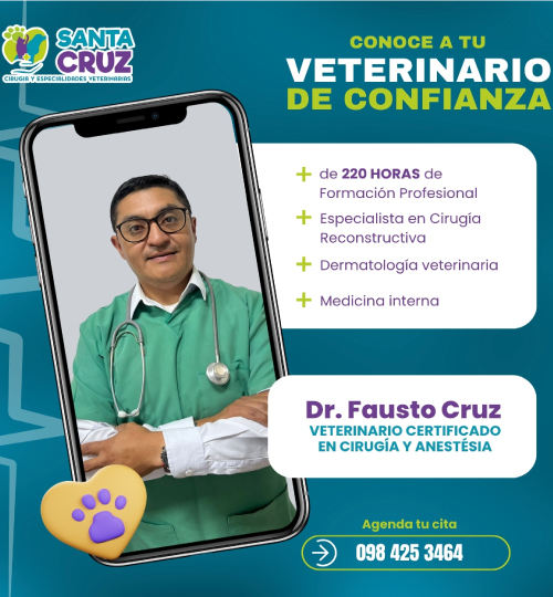veterinario campaña